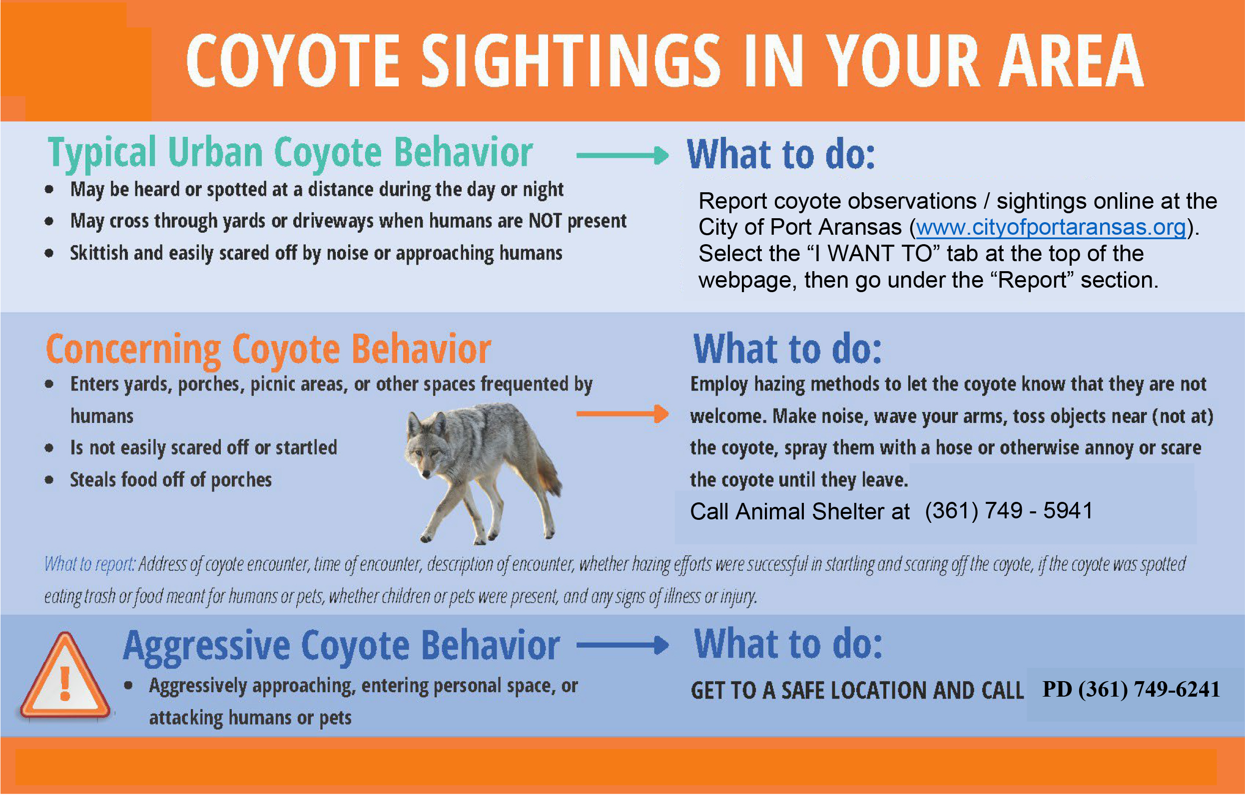 Coyote Behavior Flyer